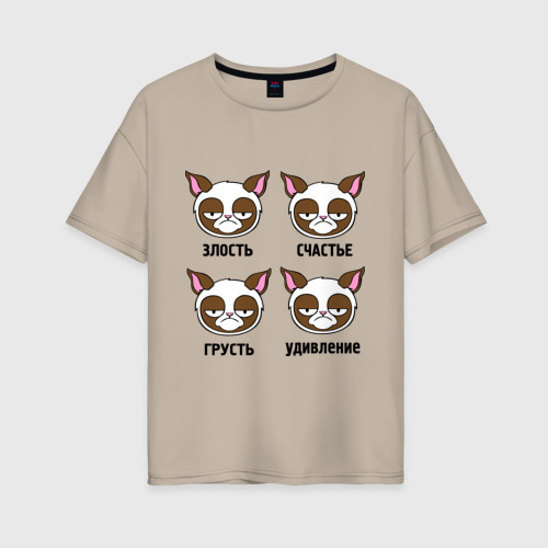 Женская футболка хлопок Oversize с принтом Эмоции грустного кота, вид спереди #2