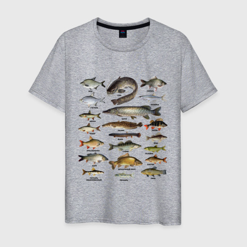 Мужская футболка с принтом Популярные виды рыб, вид спереди #2