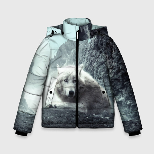 Зимняя куртка для мальчиков 3D с принтом Волк в горах, вид спереди #2