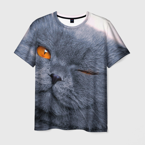 Мужская футболка 3D с принтом Кот, вид спереди #2