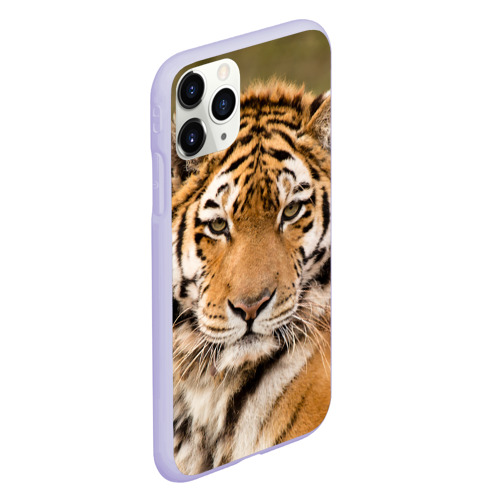Чехол для iPhone 11 Pro матовый с принтом Тигр, вид сбоку #3