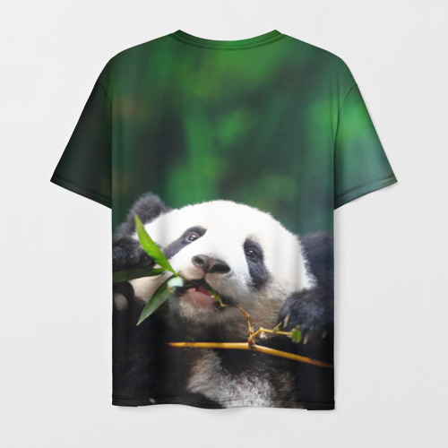 Мужская футболка 3D с принтом Панда на ветке, вид сзади #1
