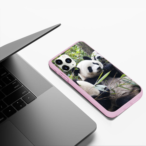 Чехол для iPhone 11 Pro Max матовый с принтом Семейка панд, фото #5