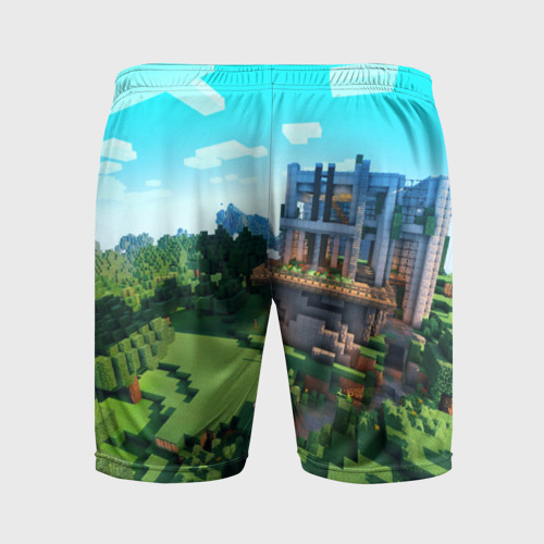 Мужские шорты спортивные с принтом Minecraft, вид сзади #1