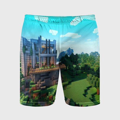 Мужские шорты спортивные с принтом Minecraft, вид спереди #2