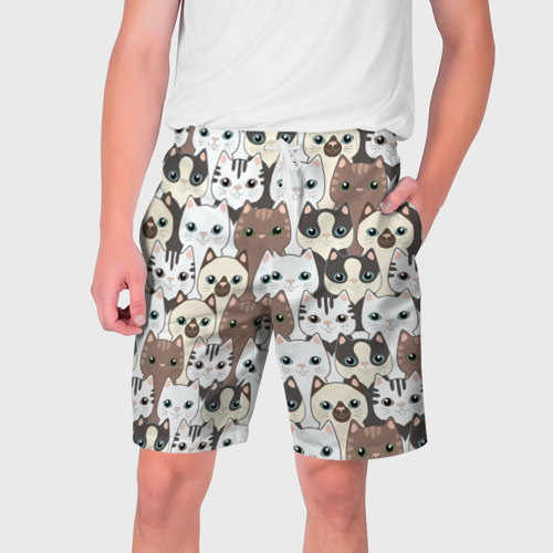 Мужские шорты 3D с принтом Котики, вид спереди #2