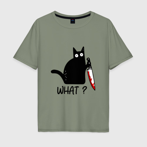 Мужская футболка хлопок Oversize с принтом What cat, вид спереди #2