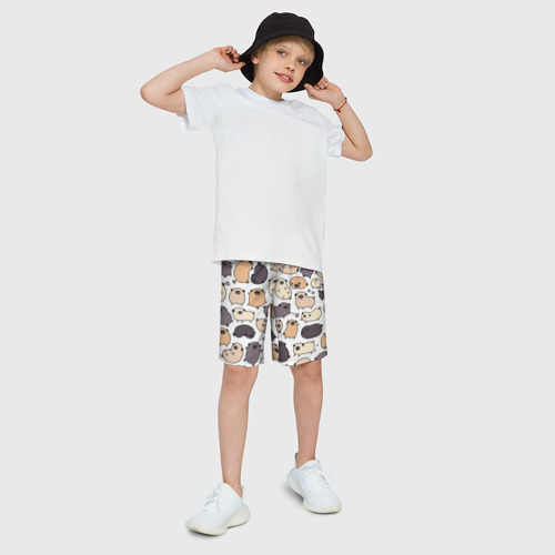 Детские спортивные шорты 3D с принтом Милые мопсы, фото на моделе #1