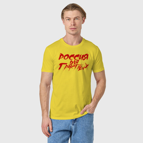 Мужская футболка хлопок с принтом Россия для грустных, фото на моделе #1