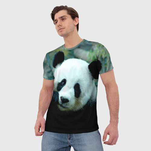Мужская футболка 3D с принтом Панда, фото на моделе #1