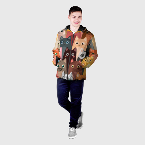 Мужская куртка 3D с принтом Котики мультяшные, фото на моделе #1