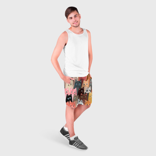Мужские шорты 3D с принтом Котики мультяшные, фото на моделе #1