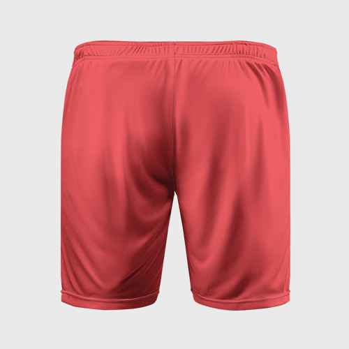 Мужские шорты спортивные с принтом Польша футбольная форма низ, вид сзади #1