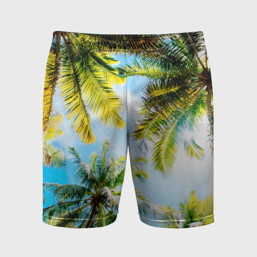 Мужские шорты спортивные с принтом Пальмы под солнцем, вид спереди #2