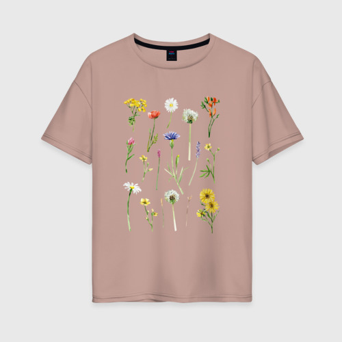 Женская футболка oversize с принтом Акварельная иллюстрация полевых цветов, вид спереди #2