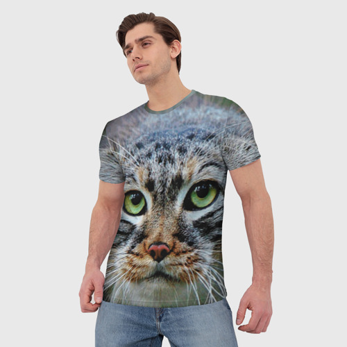 Мужская футболка 3D с принтом Кошка породы манул, фото на моделе #1