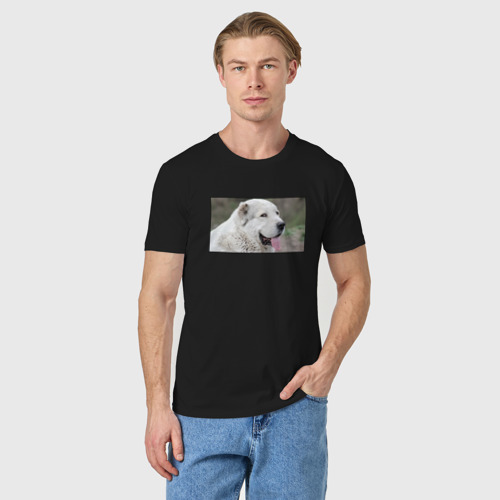 Мужская футболка хлопок с принтом Довольный Алабай, фото на моделе #1