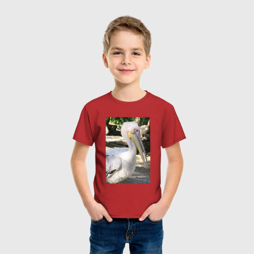 Детская футболка хлопок с принтом Пеликан в природе, фото на моделе #1