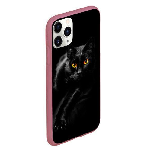 Чехол для iPhone 11 Pro матовый с принтом Черный кот во тьме, вид сбоку #3